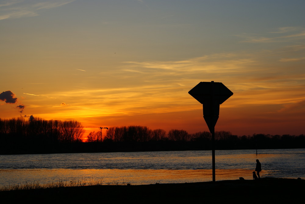 Alter Mann mit bestem Freund am Rhein