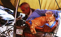 Alter Mann mit Katze