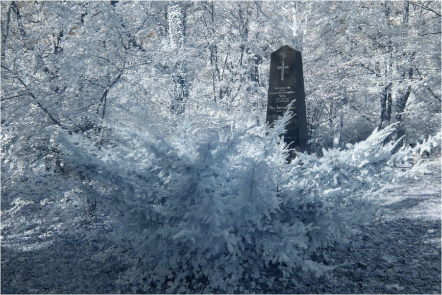 Alter nördlicher Friedhof II