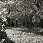 Alter nördlicher Friedhof V