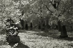 Alter nördlicher Friedhof V