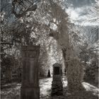 Alter nördlicher Friedhof VII