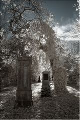 Alter nördlicher Friedhof VII