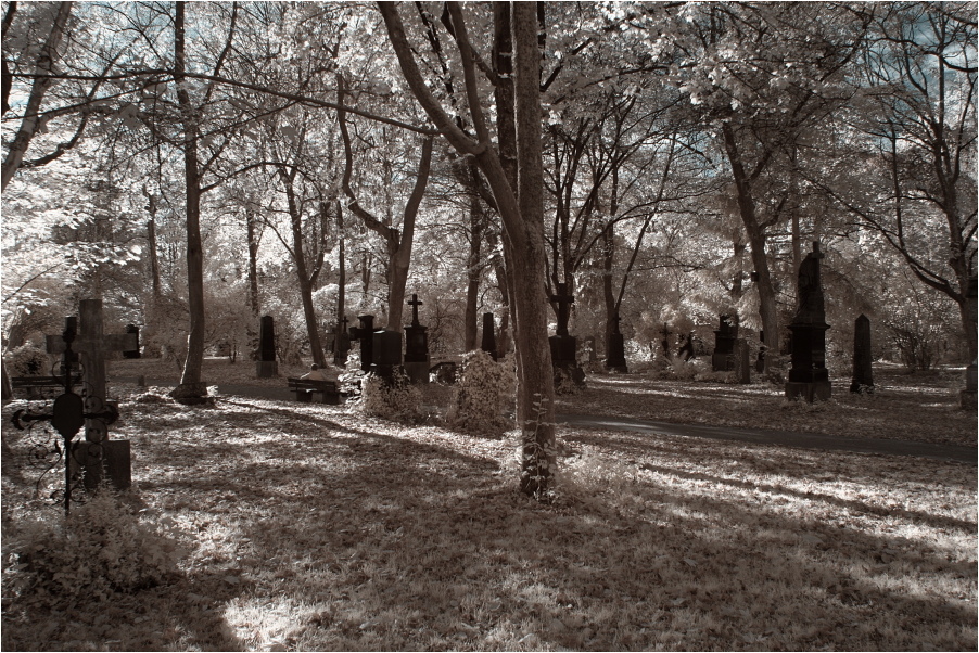 Alter nördlicher Friedhof X