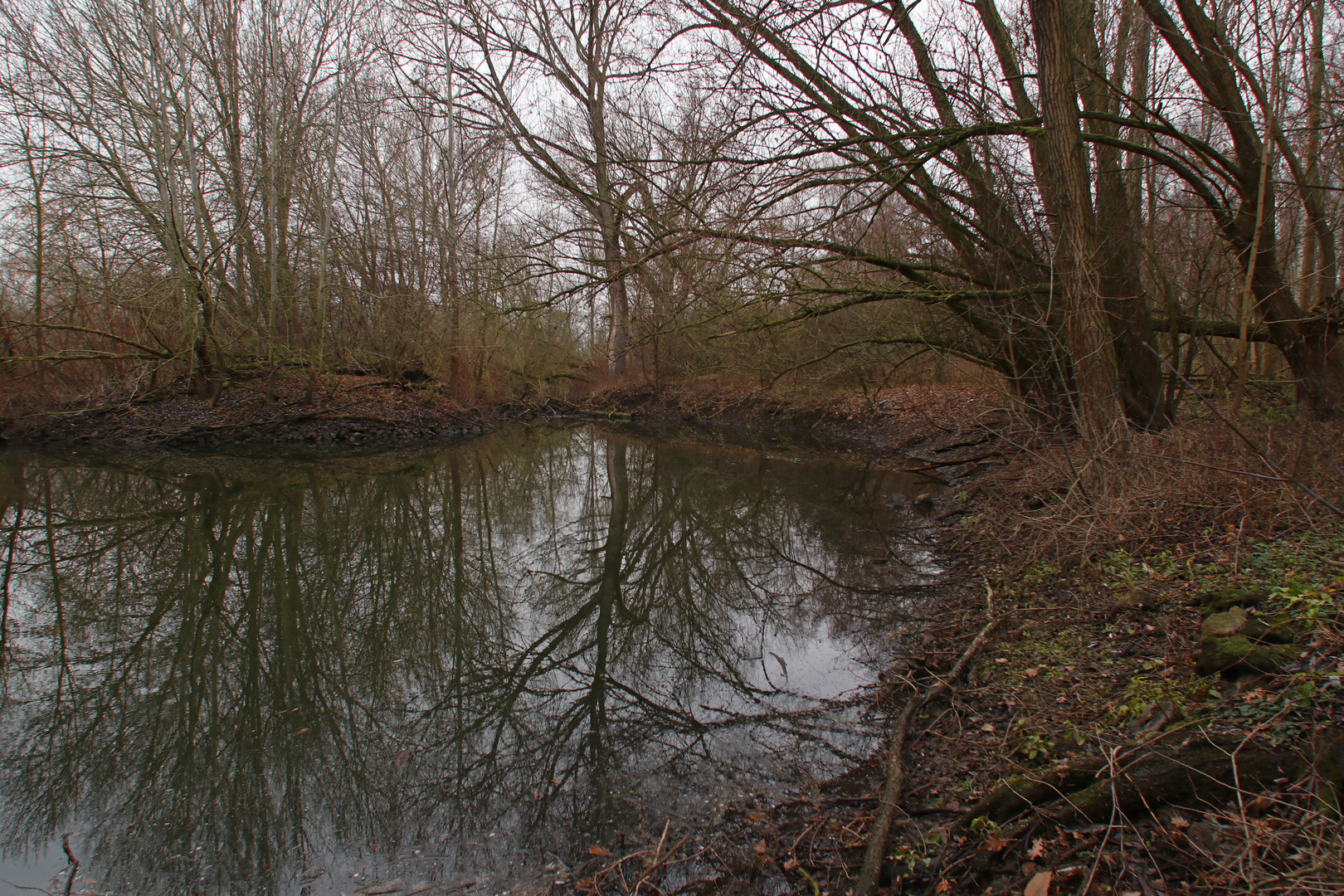 Alter Okerlauf am Untersee