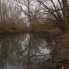 Alter Okerlauf am Untersee