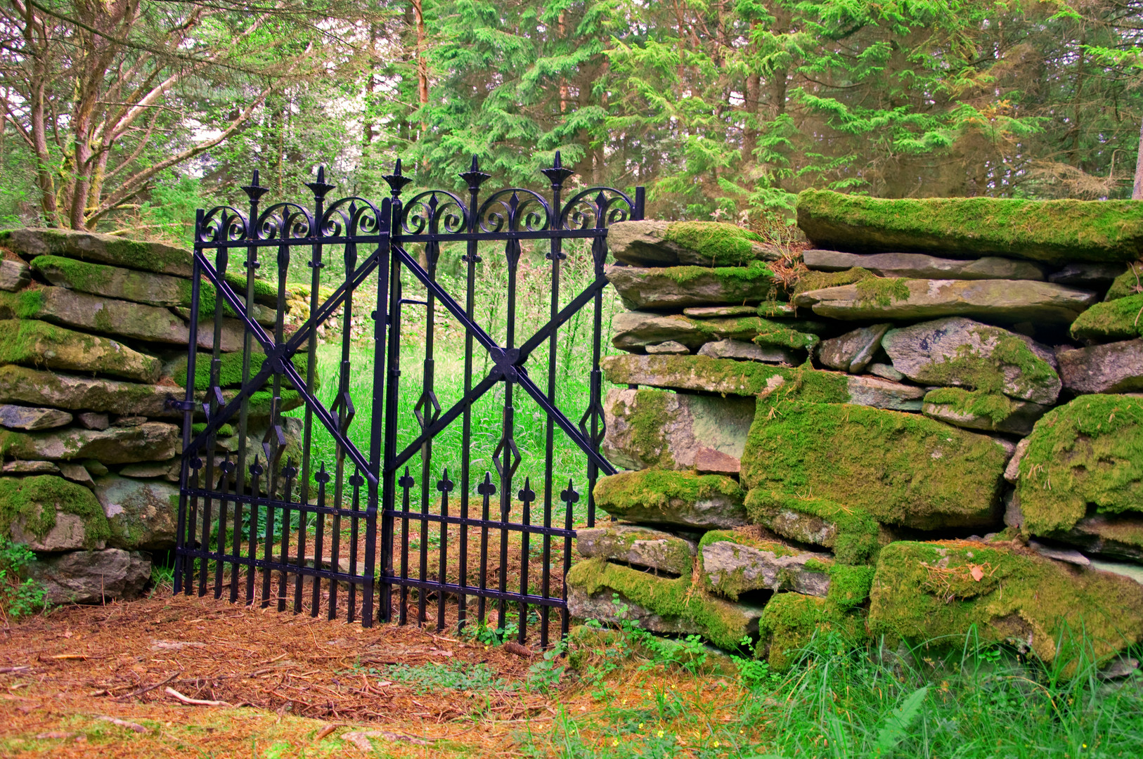 alter Pest-Friedhof im Wald in Norwegen