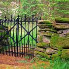 alter Pest-Friedhof im Wald in Norwegen