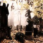 Alter Prager Friedhof im Nebel