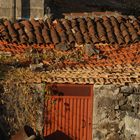 Alter, reparaturbedürftiger Schuppen auf Gomera