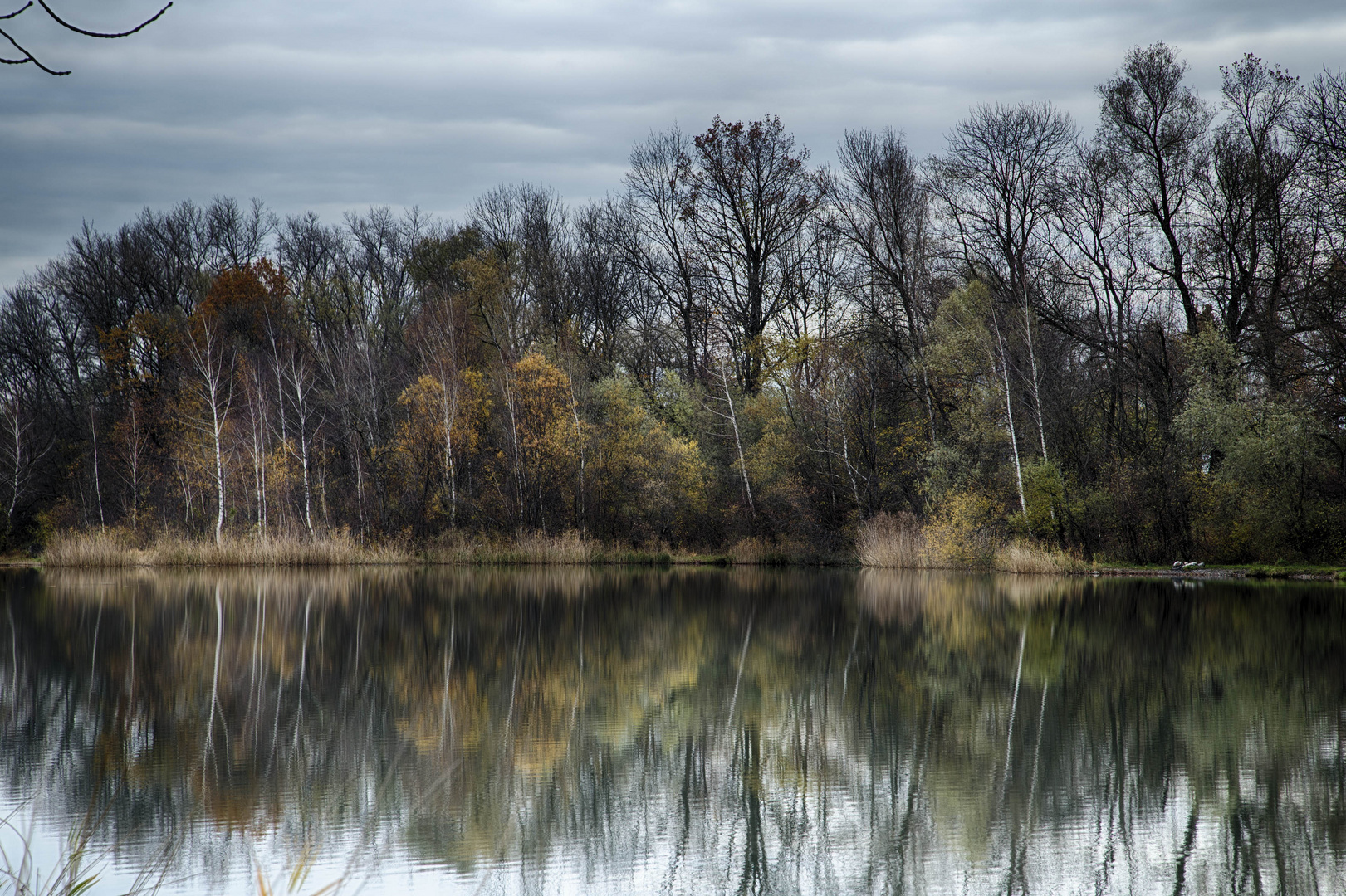 Alter Rhein