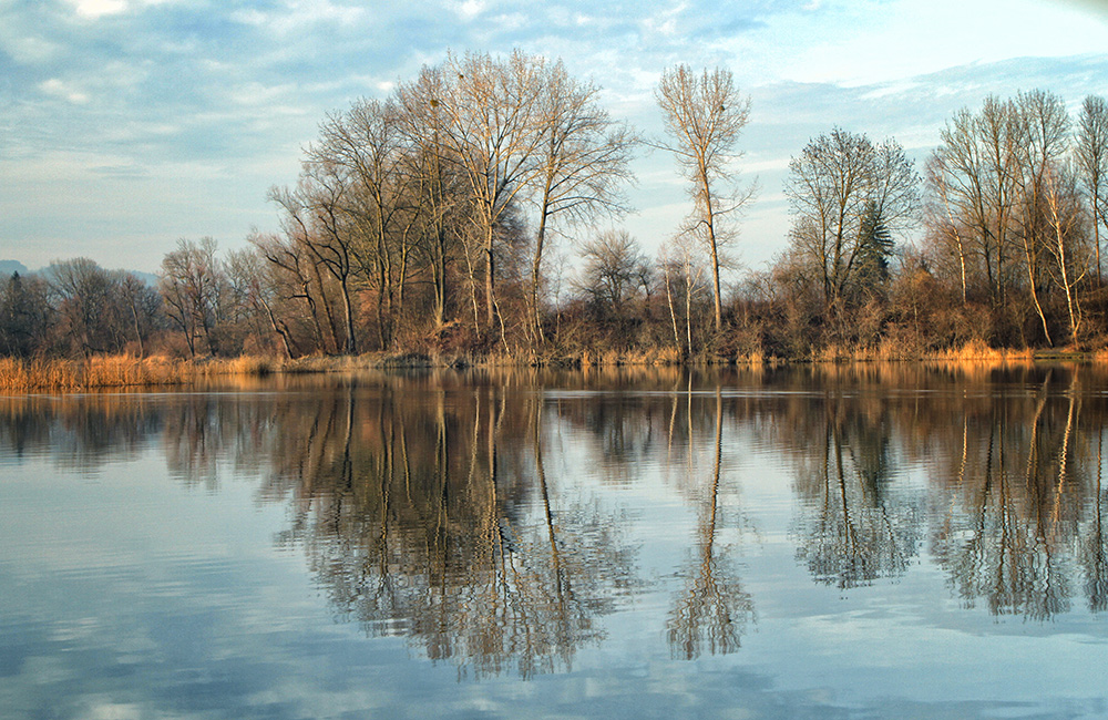 Alter Rhein