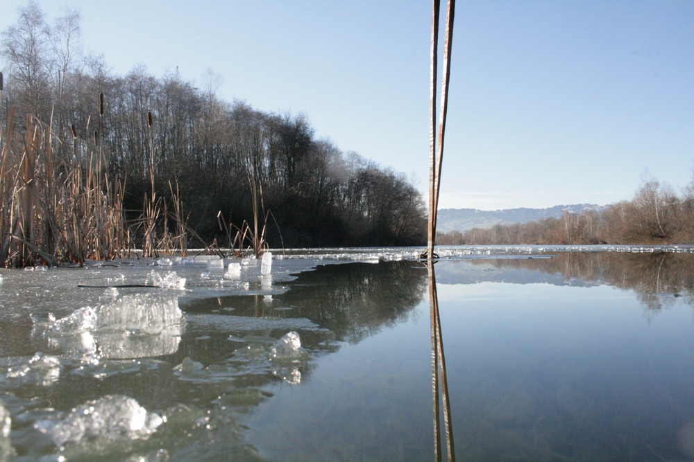 Alter Rhein