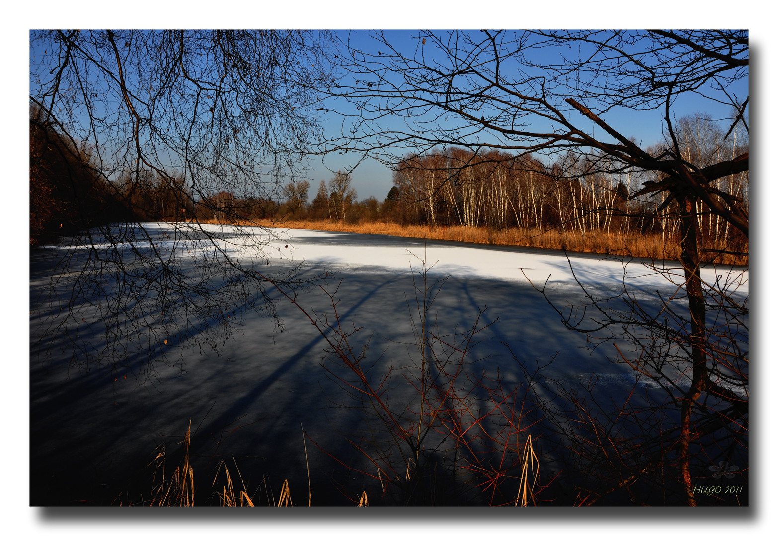 Alter Rhein - Eis - Licht u. Schatten