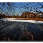 Alter Rhein - Eis - Licht u. Schatten