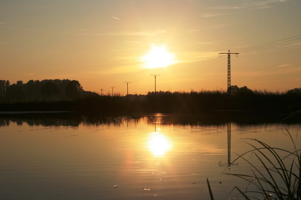 Alter Rheinarm im Sonnenuntergang