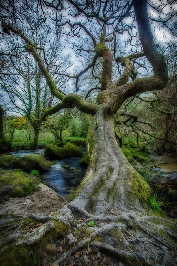 Alter Riese in Cornwall