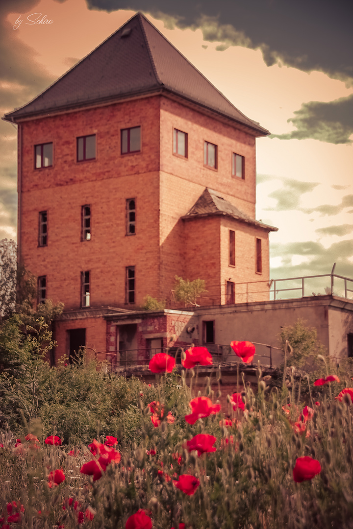 alter Säureturm im ehemaligen Zellstoffwerk in Gröditz