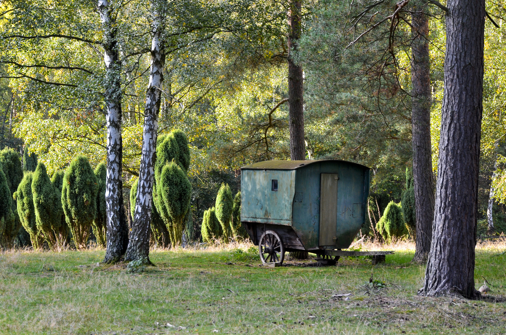 Alter Schäferwagen