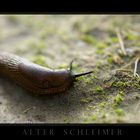 Alter Schleimer