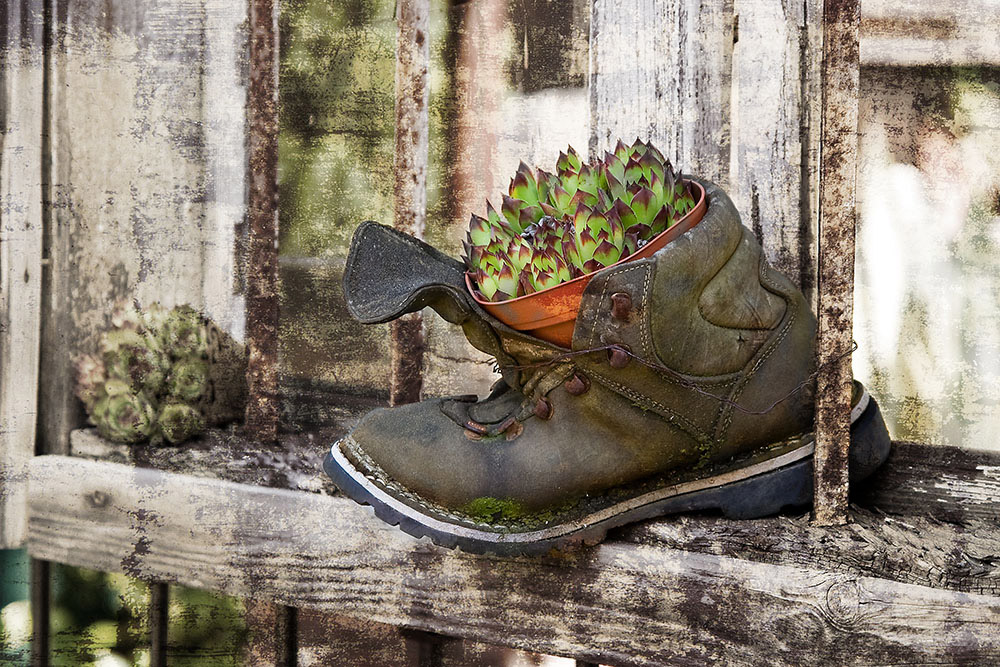 alter Schuh Foto & Bild stillleben, zufällige arrangements, sonstiges