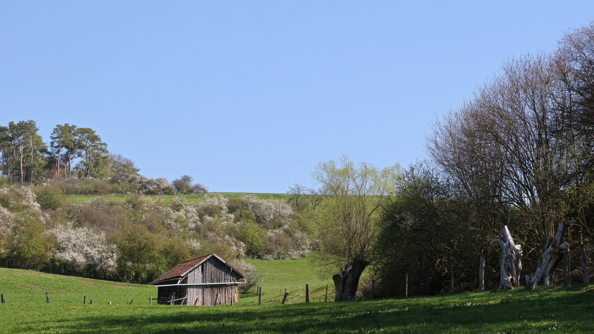 Alter Schuppen (2019_04_18_EOS 100D_4580_ji)