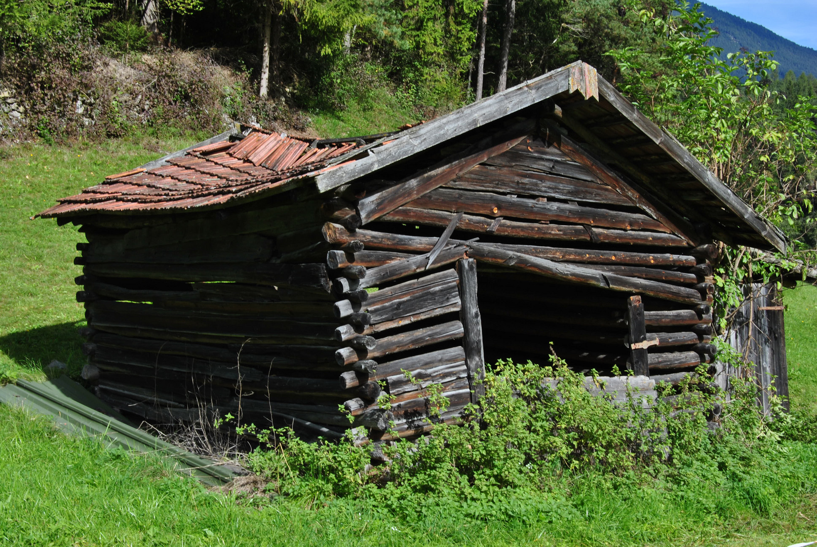 Alter Schuppen