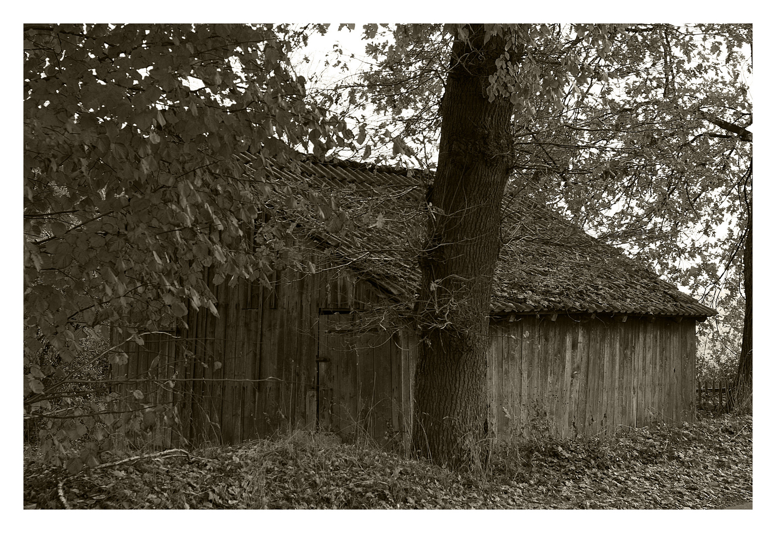 "alter Schuppen" in Lichtenau - Herbram