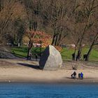 alter schwede am Elbstrand