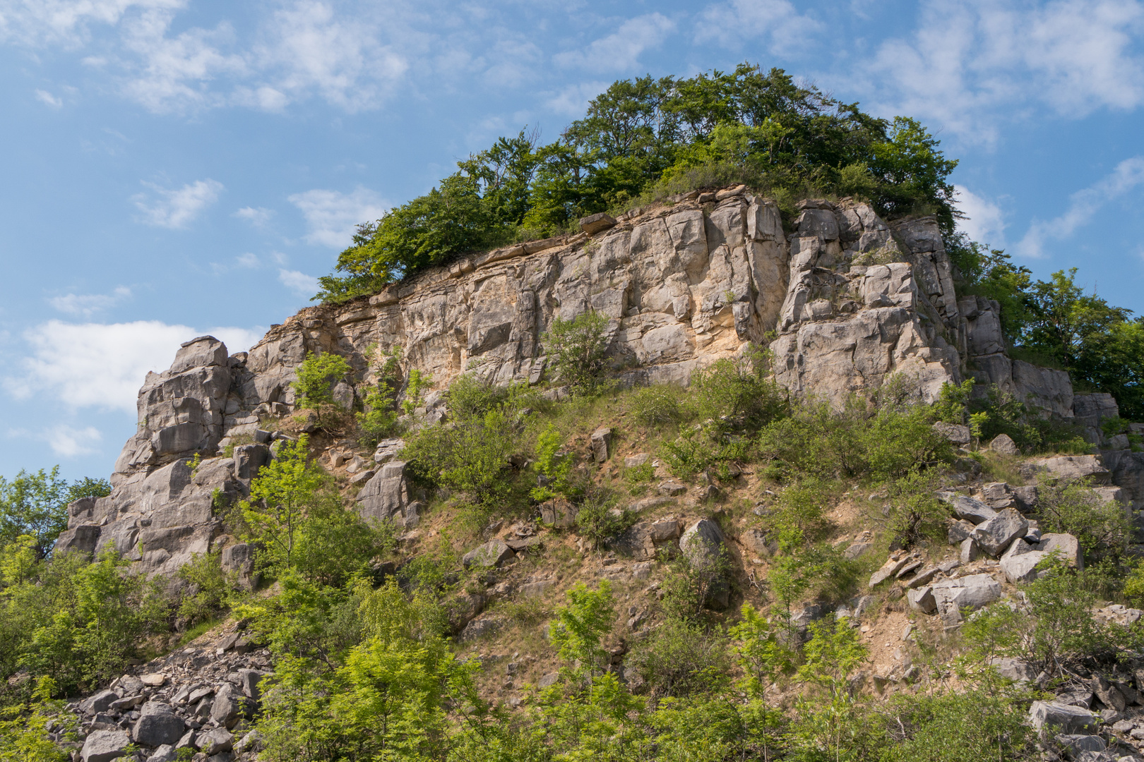 Alter Steinbruch Bockshorn