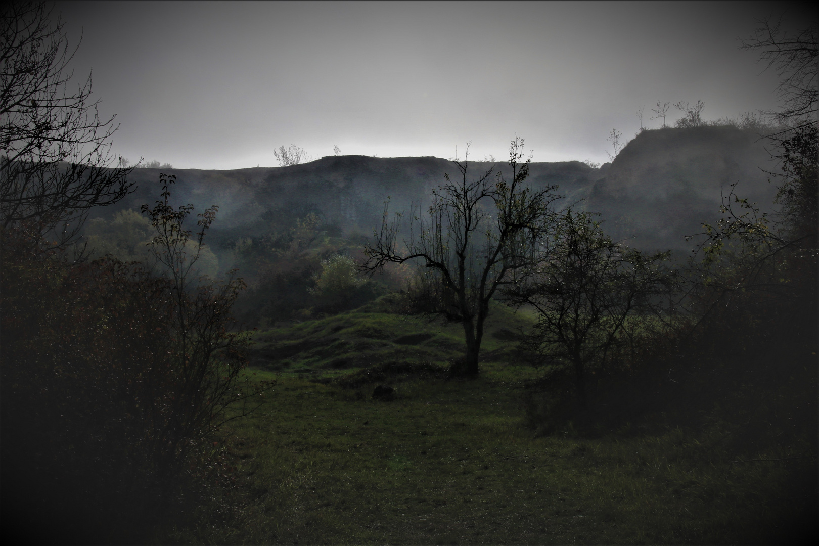 alter Steinbruch Rosengarten im Nebel