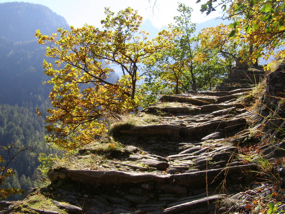 Alter steiniger Säumerpfad über die Alpen.