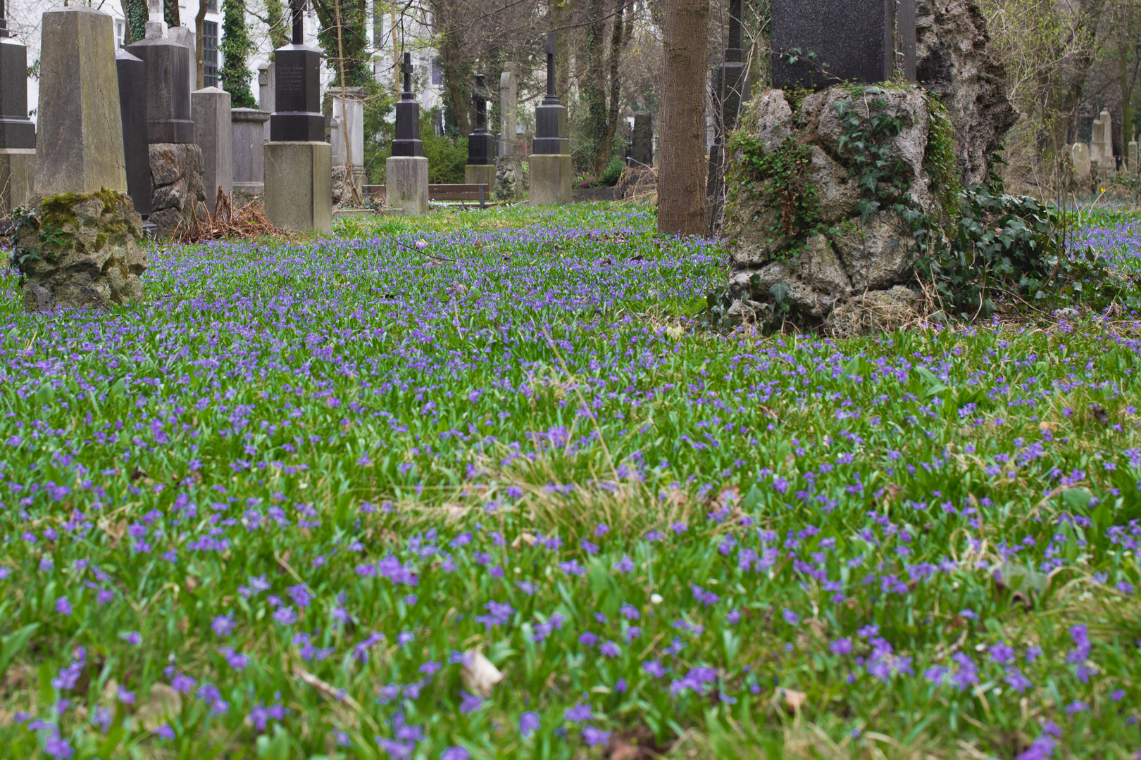 Alter Südfriedhof 2 Flor in Blau