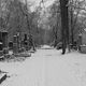 alter Sdfriedhof im Winter