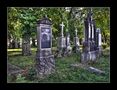 Alter Südfriedhof in München von Charly Roggow 