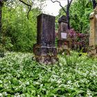 Alter Südlicher Friedhof