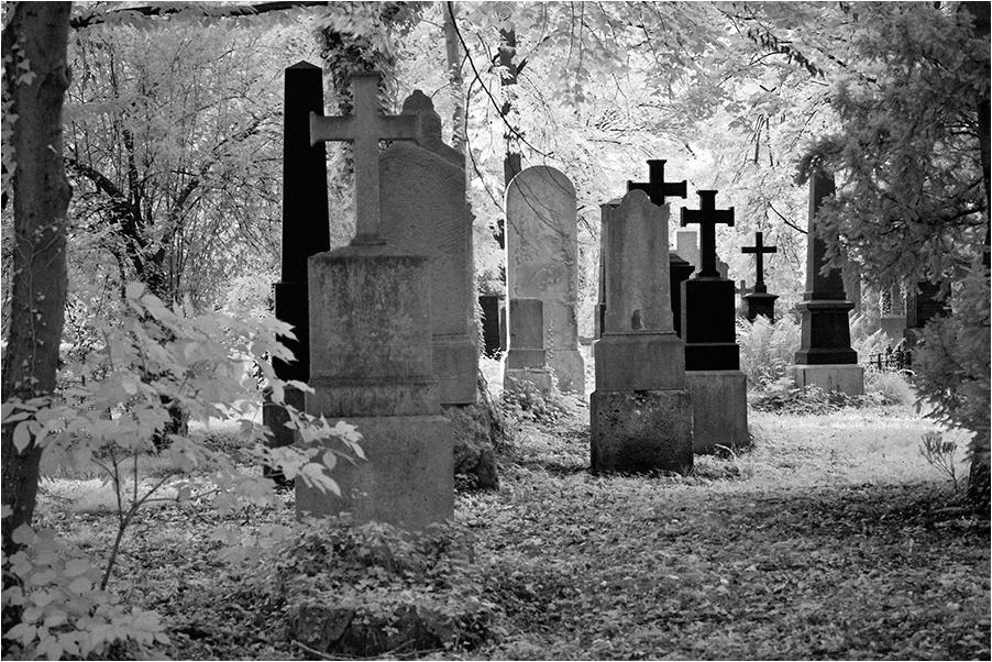 Alter südlicher Friedhof (c)