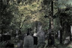 Alter südlicher Friedhof (e)