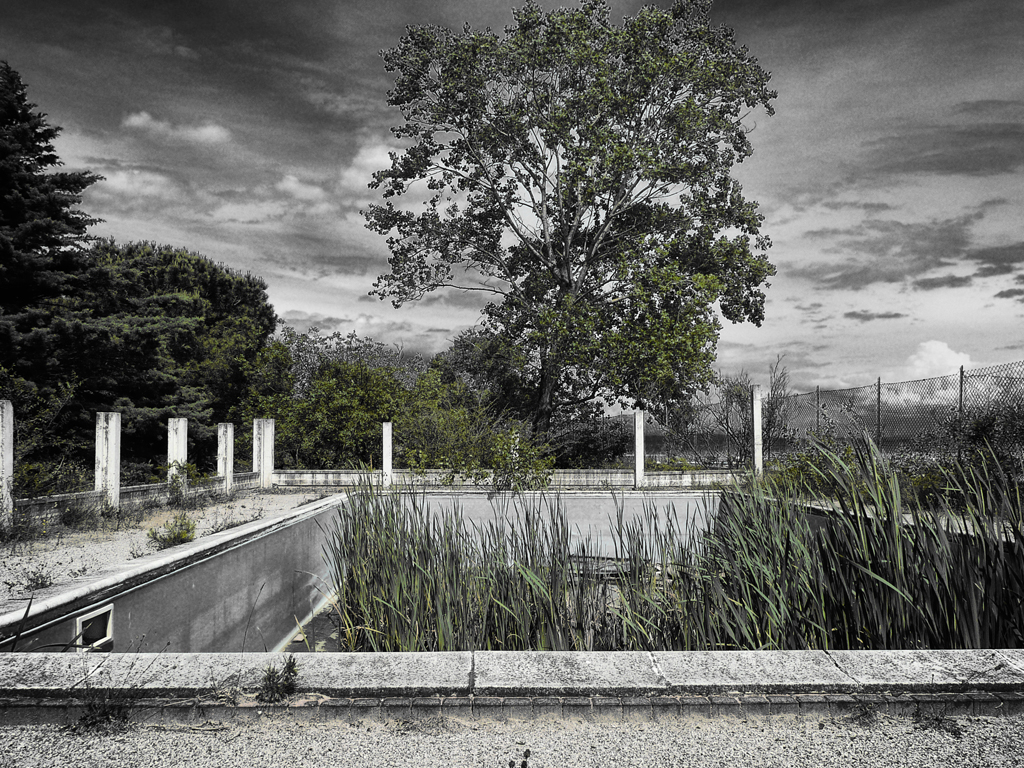 Alter Swimmingpool - die Natur kehrt zurück