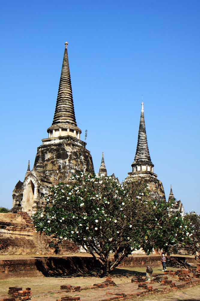 Alter Tempel und blühende Bäume