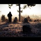 Alter, transsilvanischer Friedhof