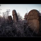 Alter, transsilvanischer Friedhof II