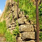 Alter Treppenaufgang in den Wingert = Rebberg