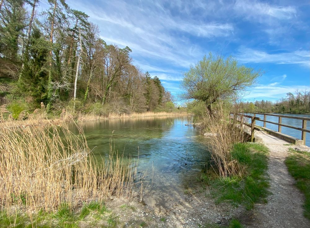 Alter und neuer Rhein