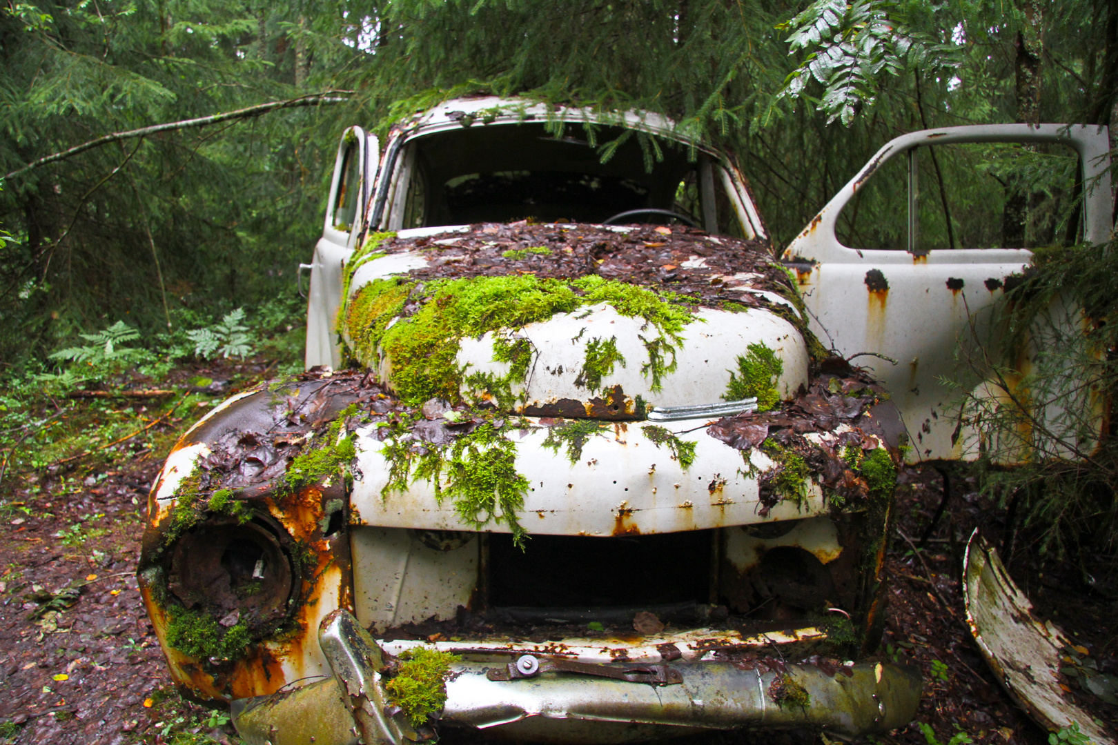 alter Volvo im Versuch mit der Natur in Gleichklang zu kommen