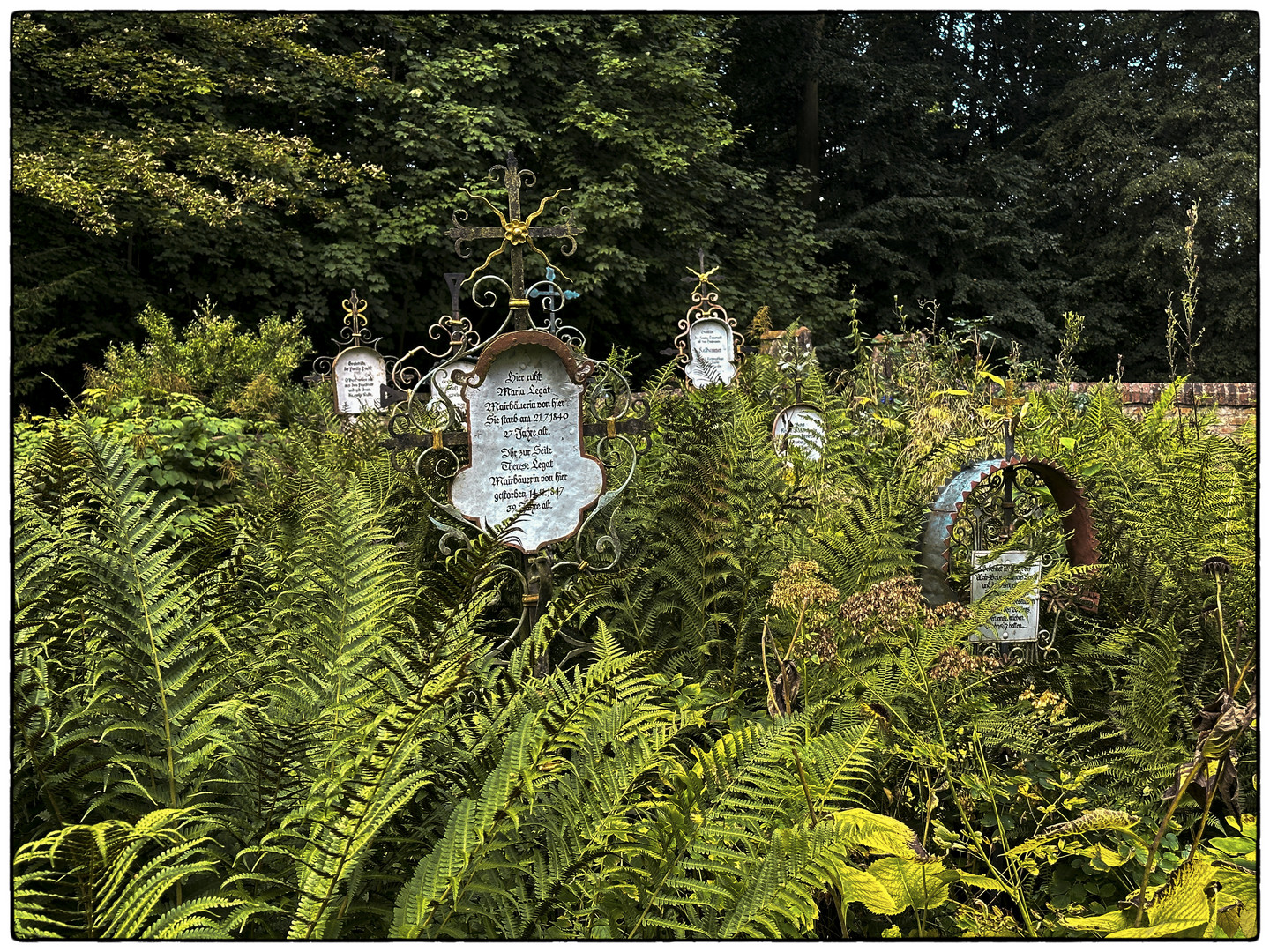 Alter Waldfriedhof