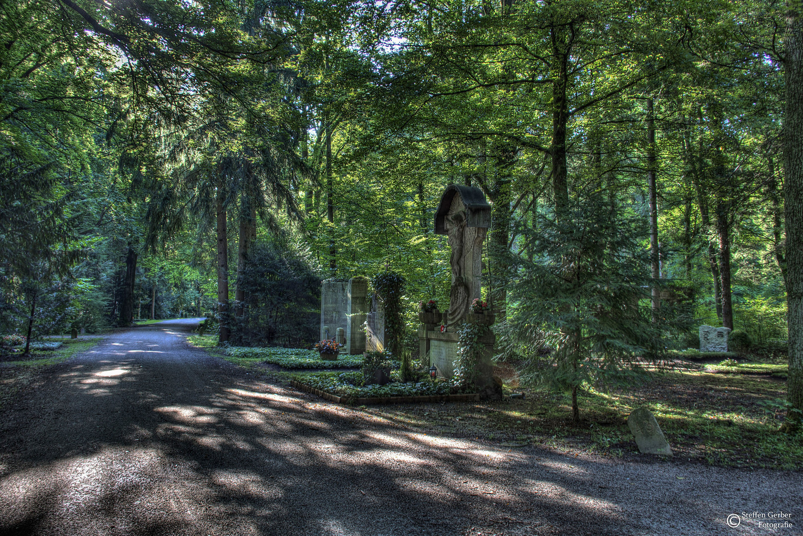 Alter Waldfriedhof München am Morgen