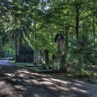 Alter Waldfriedhof München am Morgen