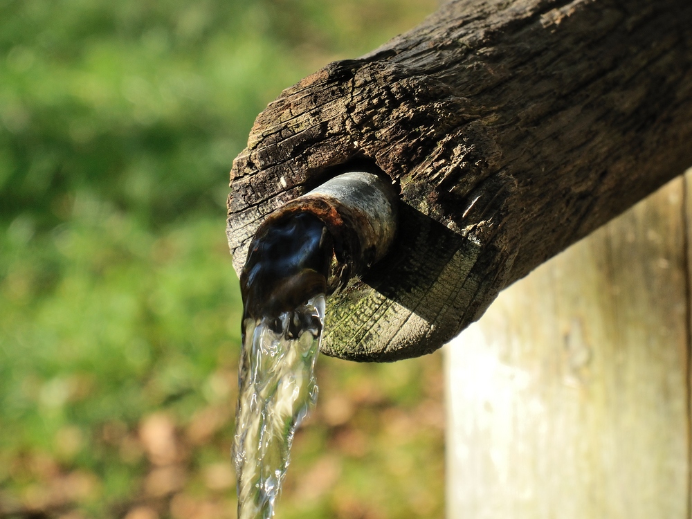 Alter Wasserspeier am Holzbrunnen