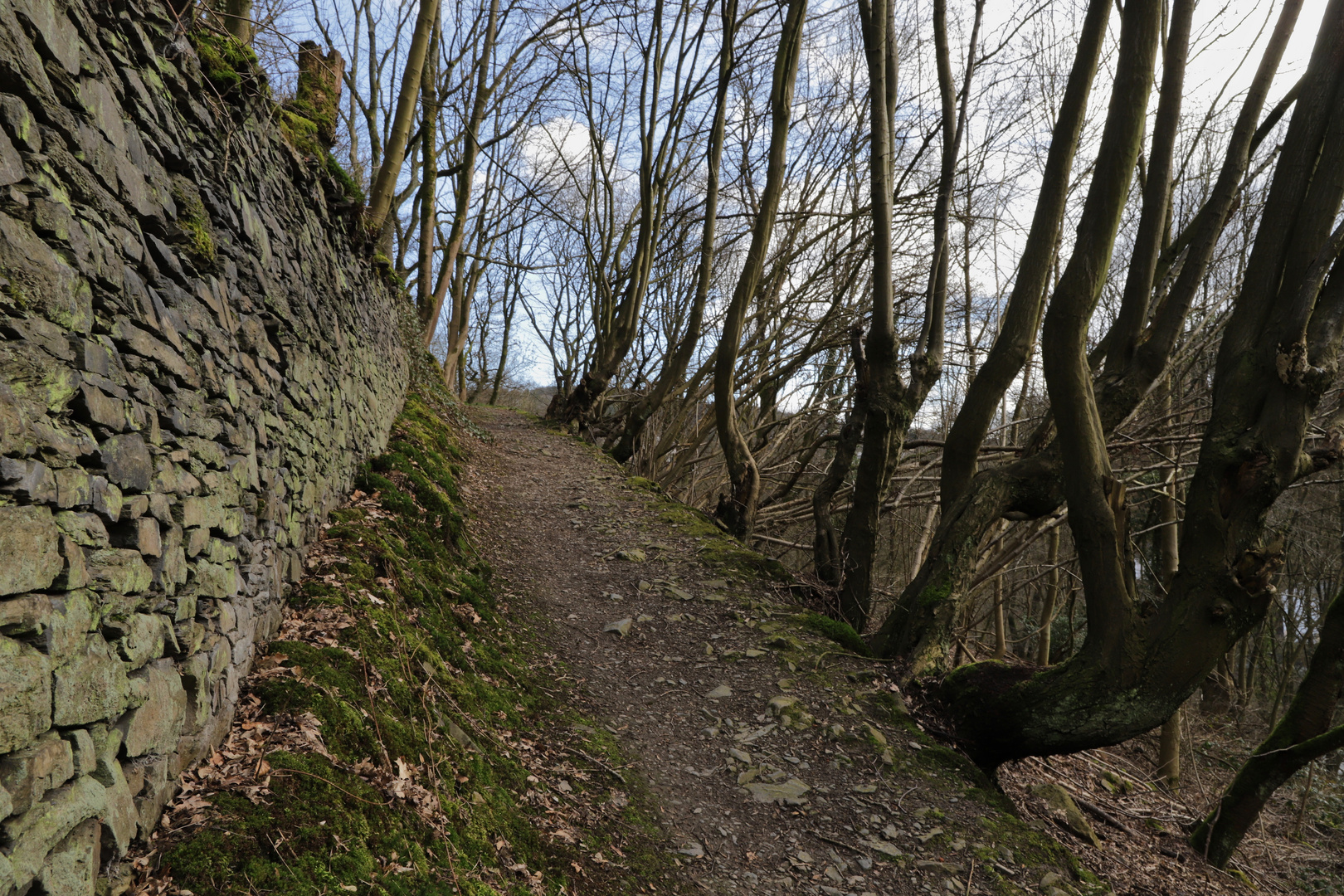 Alter Weg (2019_03_07_EOS 6D Mark II_0512_ji)